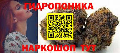 СК Краснознаменск