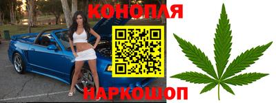 шишки Краснокаменск