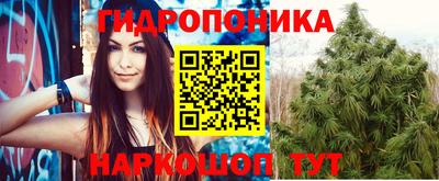 шишки Краснокаменск