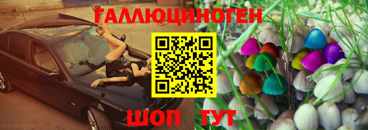 Жигулёвск  Галлюциногенные грибы MAGIC MUSHROOMS  Вход с VPN 